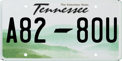 TN license plate A8280U