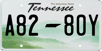 TN license plate A8280Y