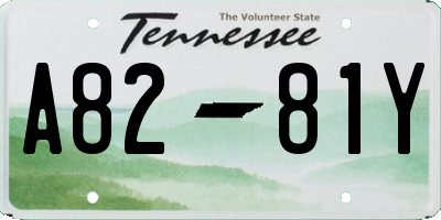 TN license plate A8281Y