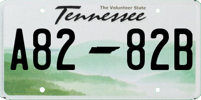 TN license plate A8282B