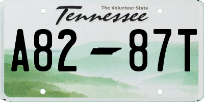TN license plate A8287T