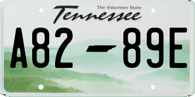 TN license plate A8289E