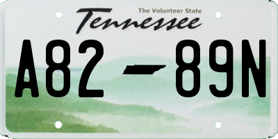 TN license plate A8289N