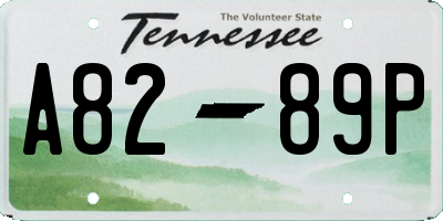 TN license plate A8289P