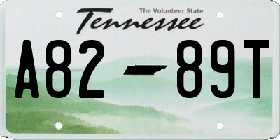 TN license plate A8289T