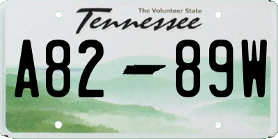 TN license plate A8289W