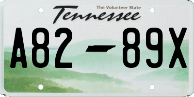 TN license plate A8289X