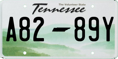 TN license plate A8289Y