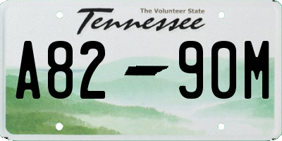 TN license plate A8290M