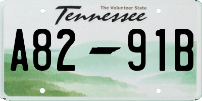 TN license plate A8291B
