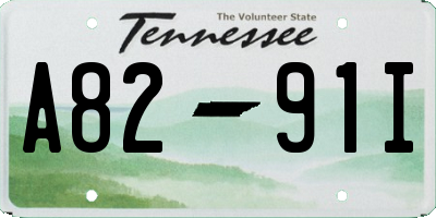 TN license plate A8291I