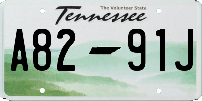 TN license plate A8291J