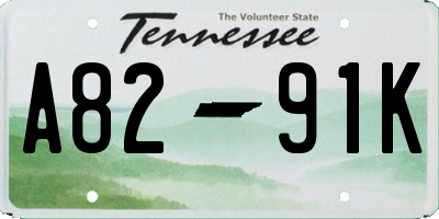 TN license plate A8291K
