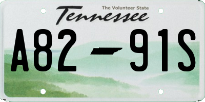 TN license plate A8291S