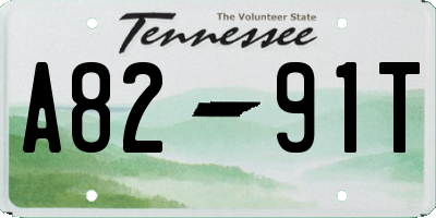 TN license plate A8291T