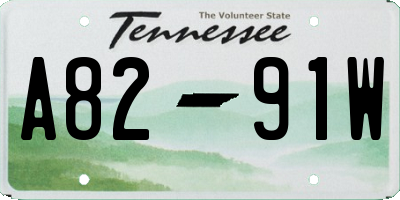 TN license plate A8291W