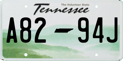TN license plate A8294J