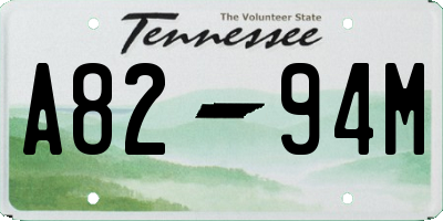 TN license plate A8294M