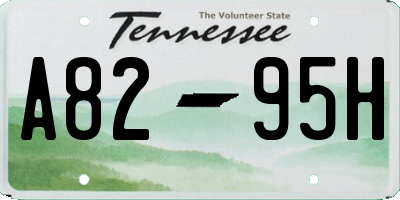 TN license plate A8295H