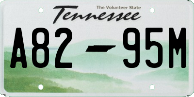 TN license plate A8295M