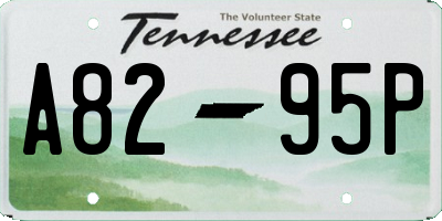 TN license plate A8295P