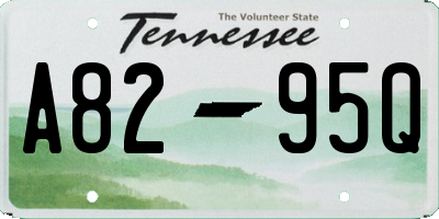 TN license plate A8295Q