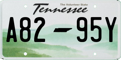 TN license plate A8295Y