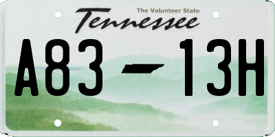 TN license plate A8313H