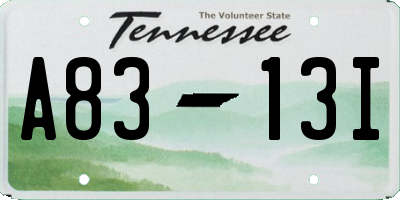 TN license plate A8313I