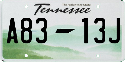 TN license plate A8313J