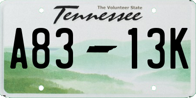 TN license plate A8313K