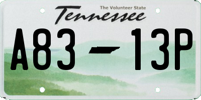 TN license plate A8313P