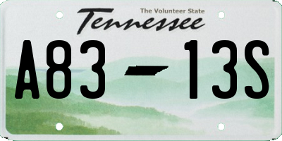 TN license plate A8313S