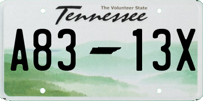 TN license plate A8313X
