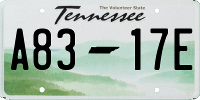 TN license plate A8317E