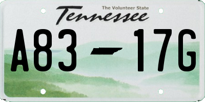 TN license plate A8317G