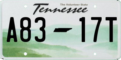 TN license plate A8317T