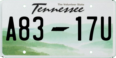 TN license plate A8317U