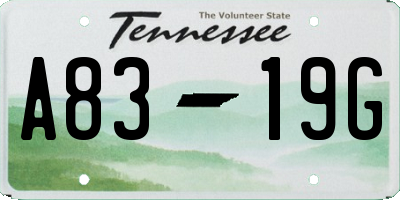 TN license plate A8319G