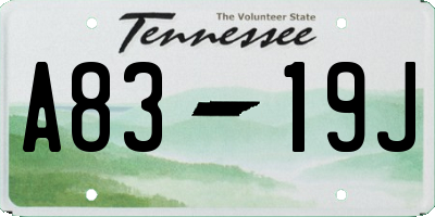 TN license plate A8319J