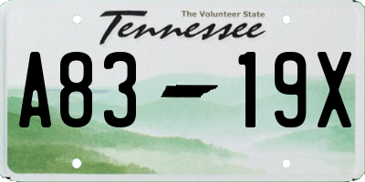 TN license plate A8319X