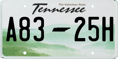 TN license plate A8325H