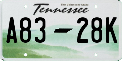 TN license plate A8328K