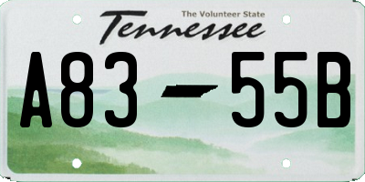 TN license plate A8355B