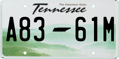 TN license plate A8361M