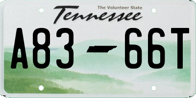 TN license plate A8366T