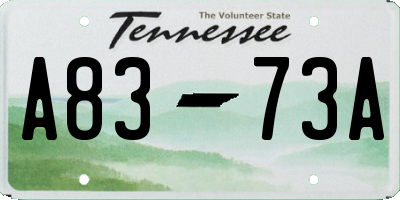 TN license plate A8373A