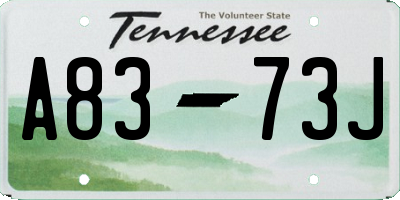 TN license plate A8373J