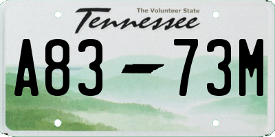 TN license plate A8373M