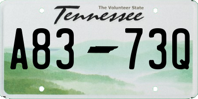 TN license plate A8373Q